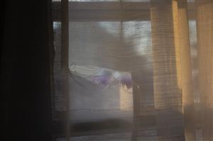 Torn View